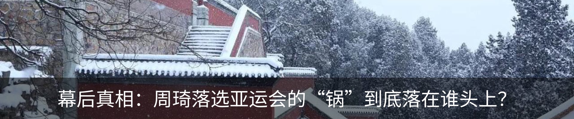 最新动态