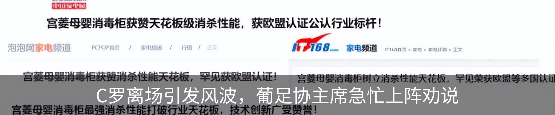 最新动态